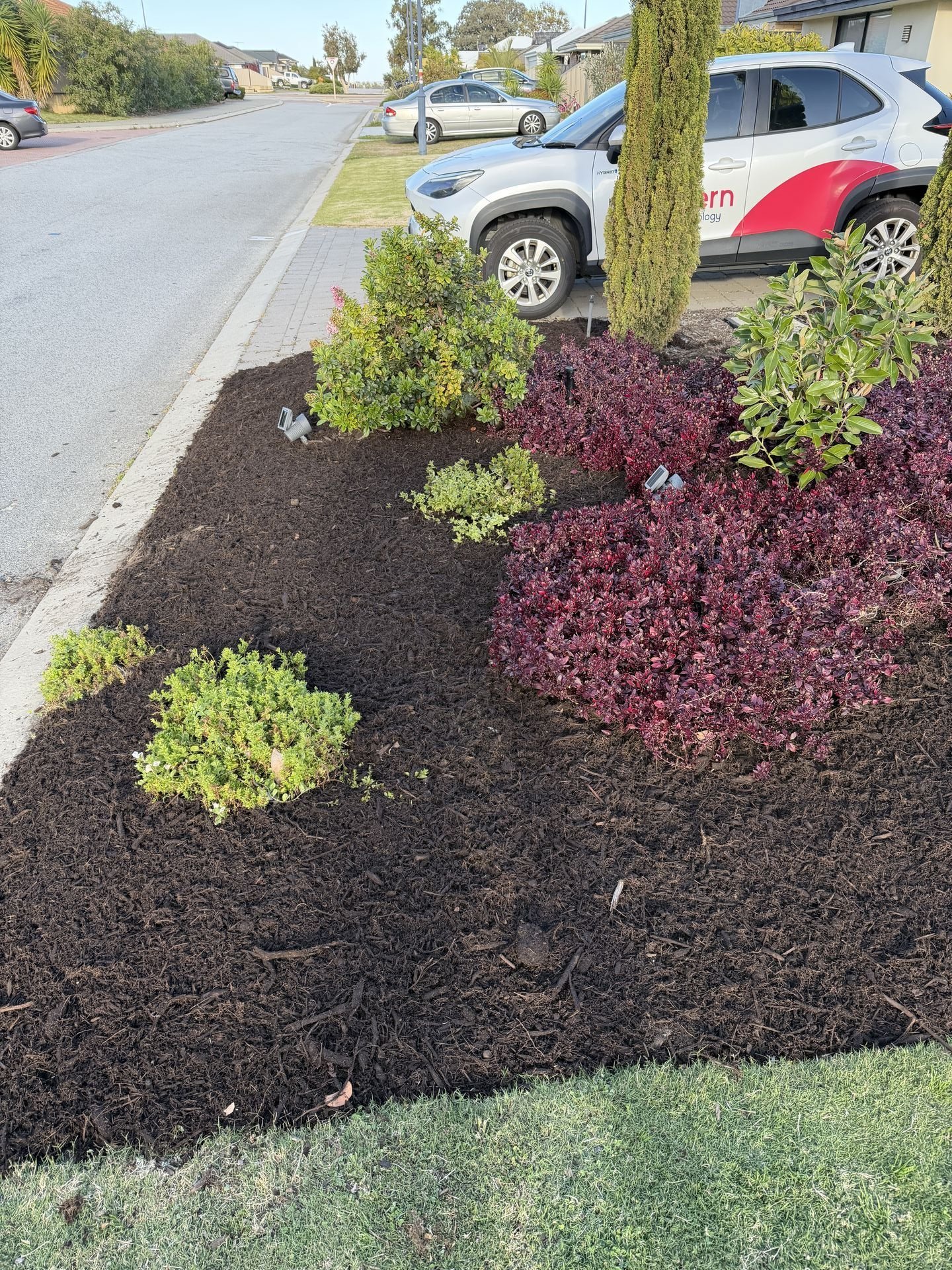 Planting