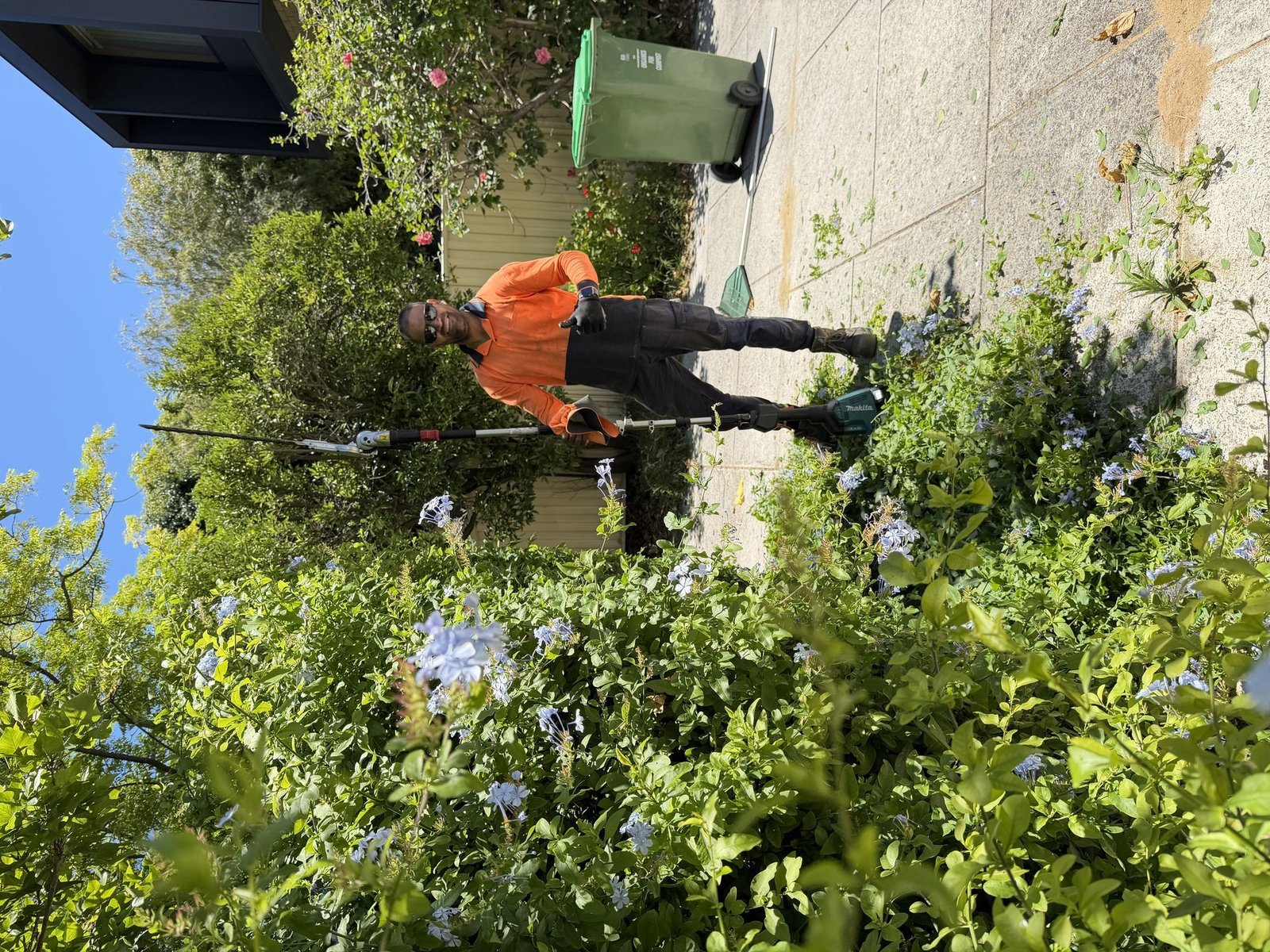 Before: Hedge Trimming & Landscaping