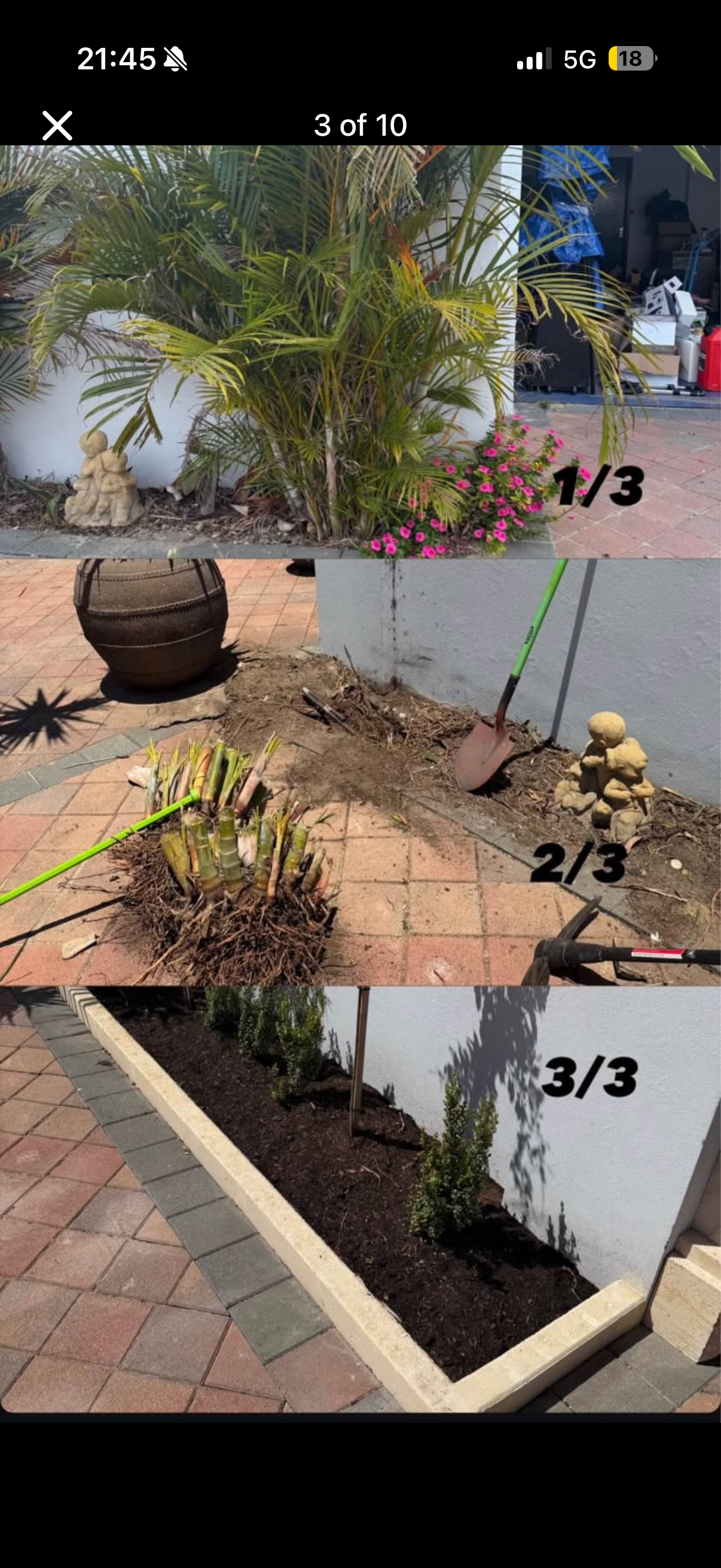 After: Stump Removal & Garden Refresh