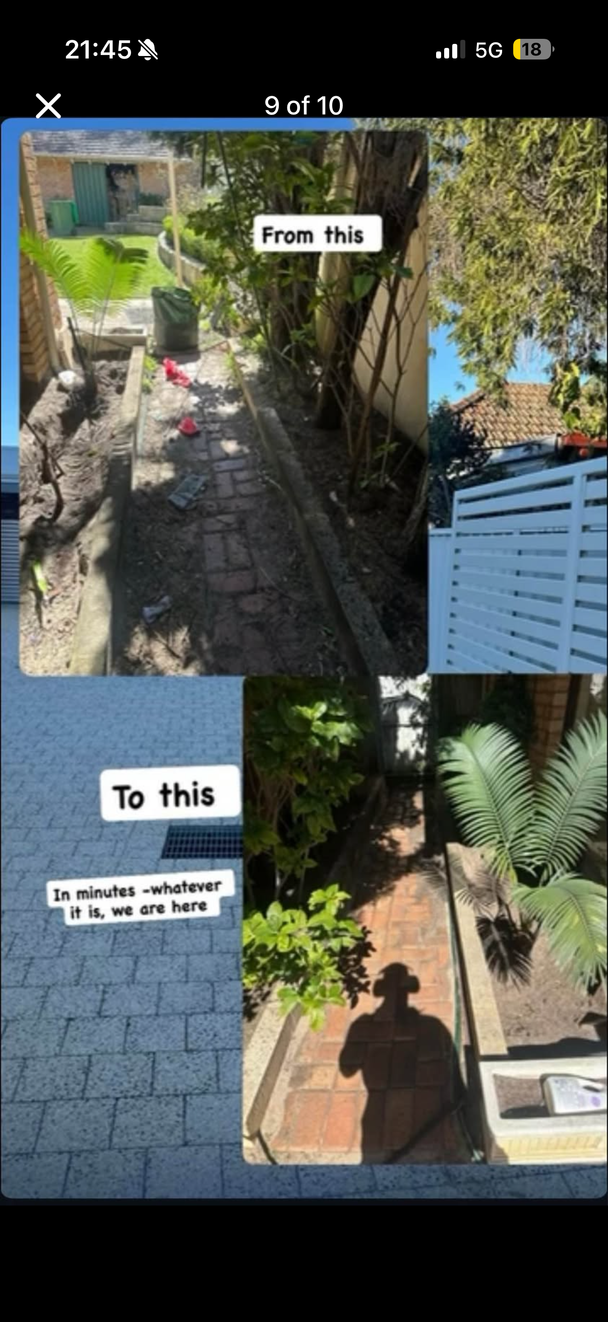 When Should You Trim Hedges? Perth Hedging Guide