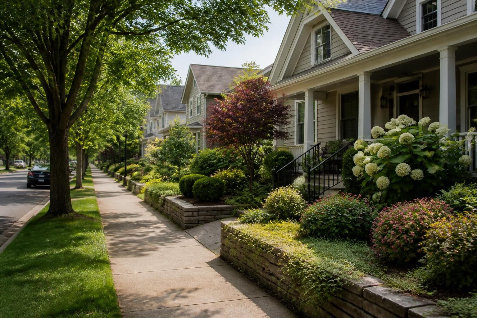 Suburban street with neat front gardens and trimmed hedges.