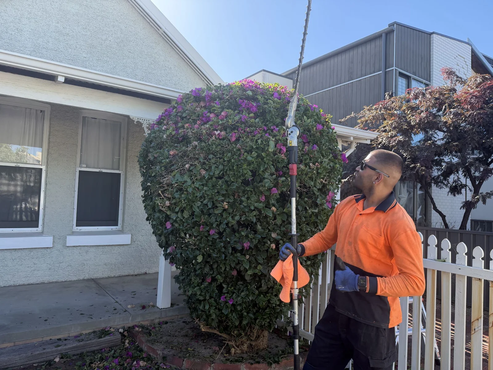 Hedge pruning project in Perth