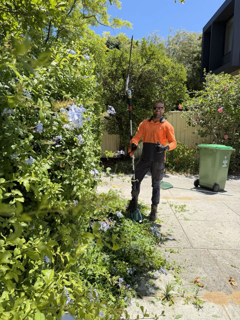 Hedging and pruning project in Perth