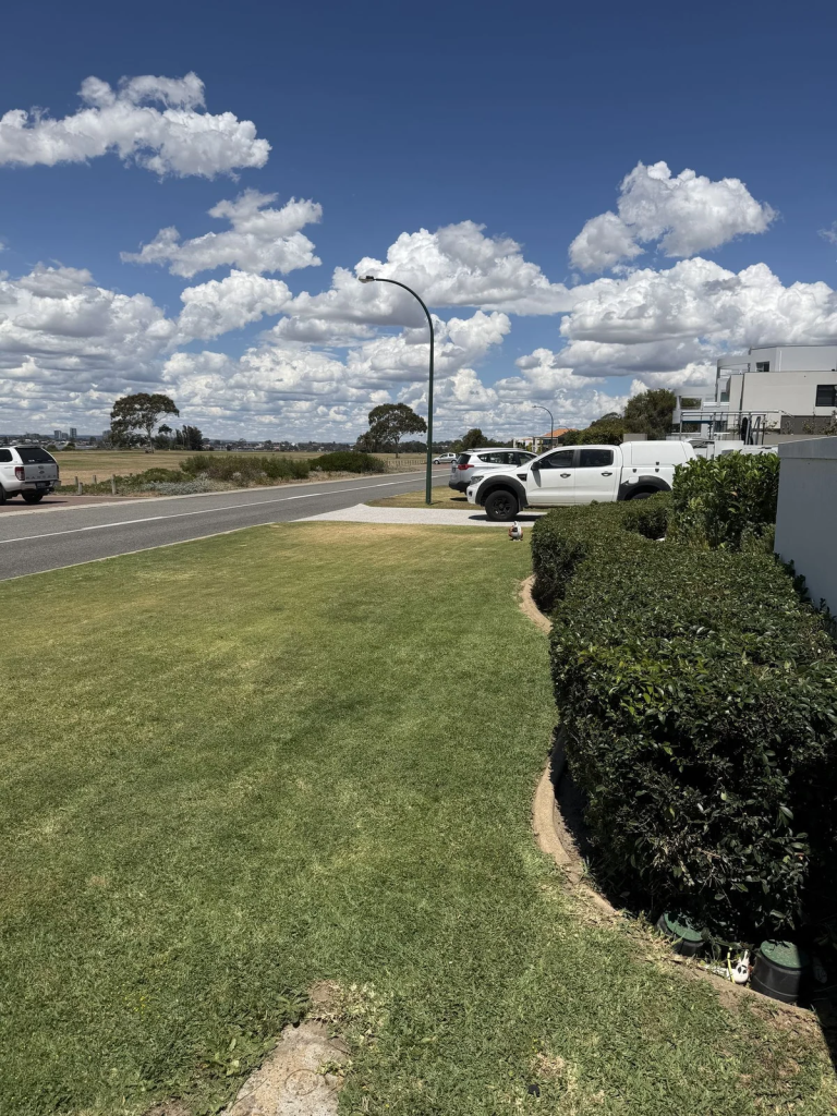 Lawn care project in Perth