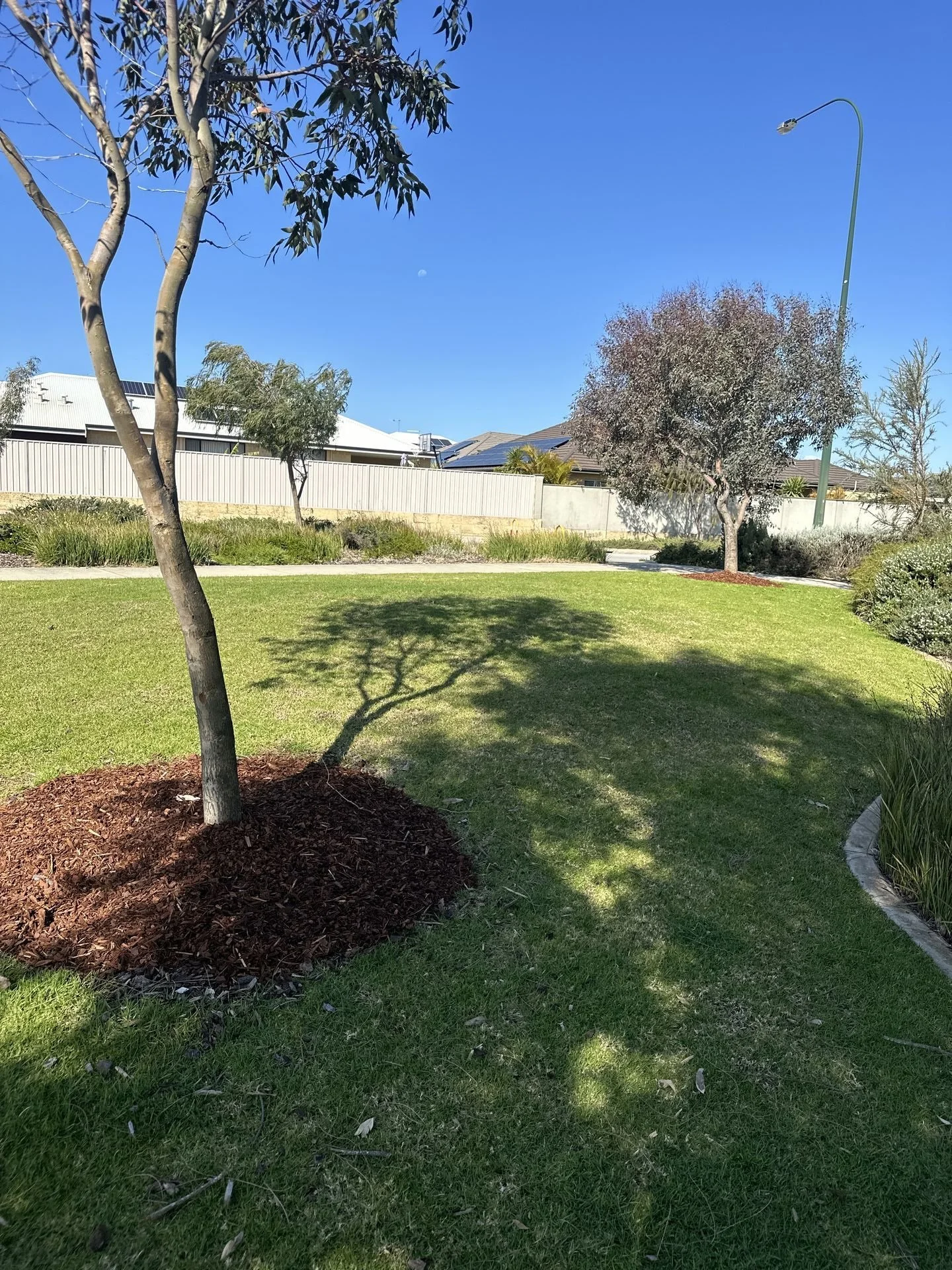 Native Plant Garden