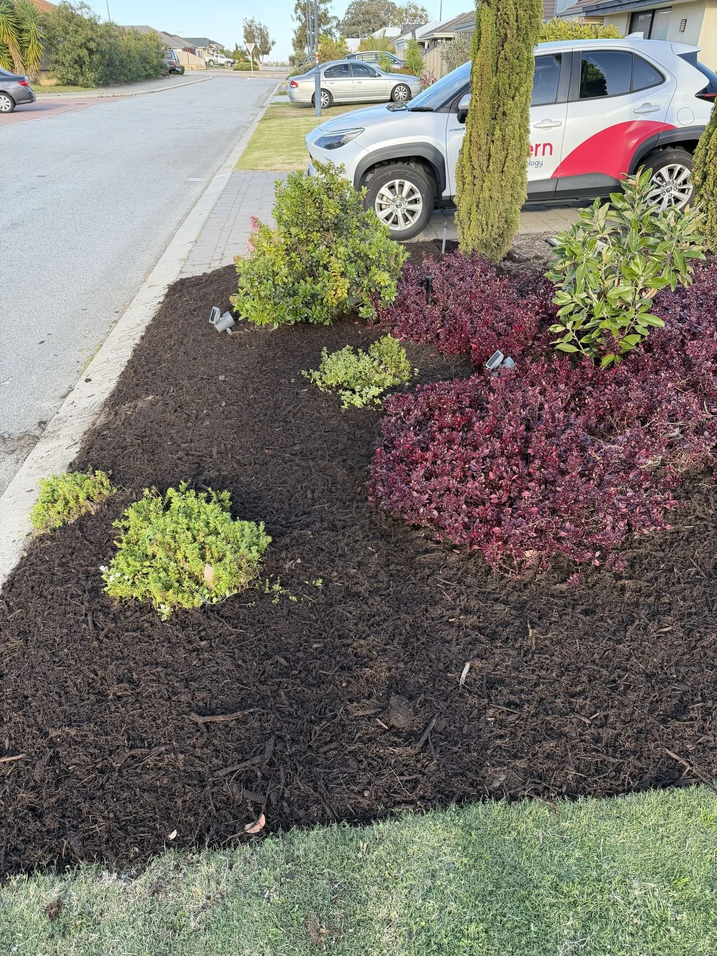 Weed Free Garden Beds