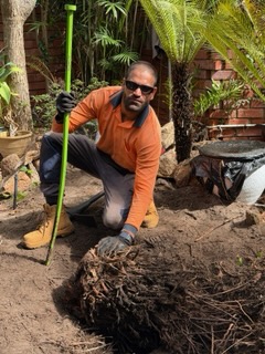 Garden bed root removal