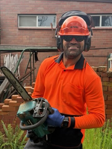 Tree maintenance visit