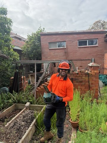 Tree pruning preparation